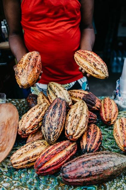Farmer holding cocoa pods at a market