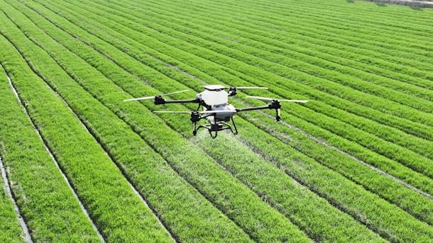 Agricultural drone spraying crops in a field