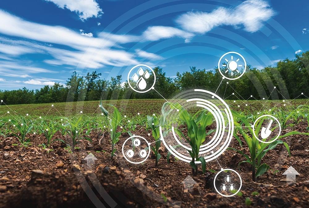AI with Precision Farming illustration